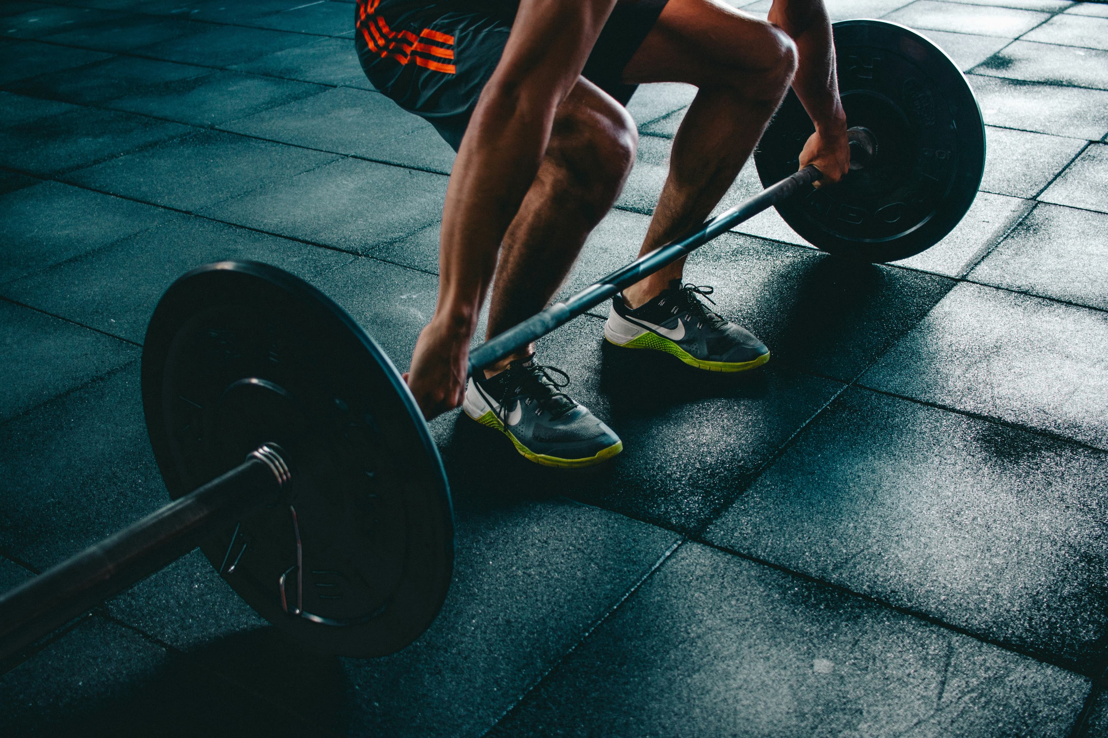 Muscle Groups: Understanding the Main Muscles of the Body to Train Better